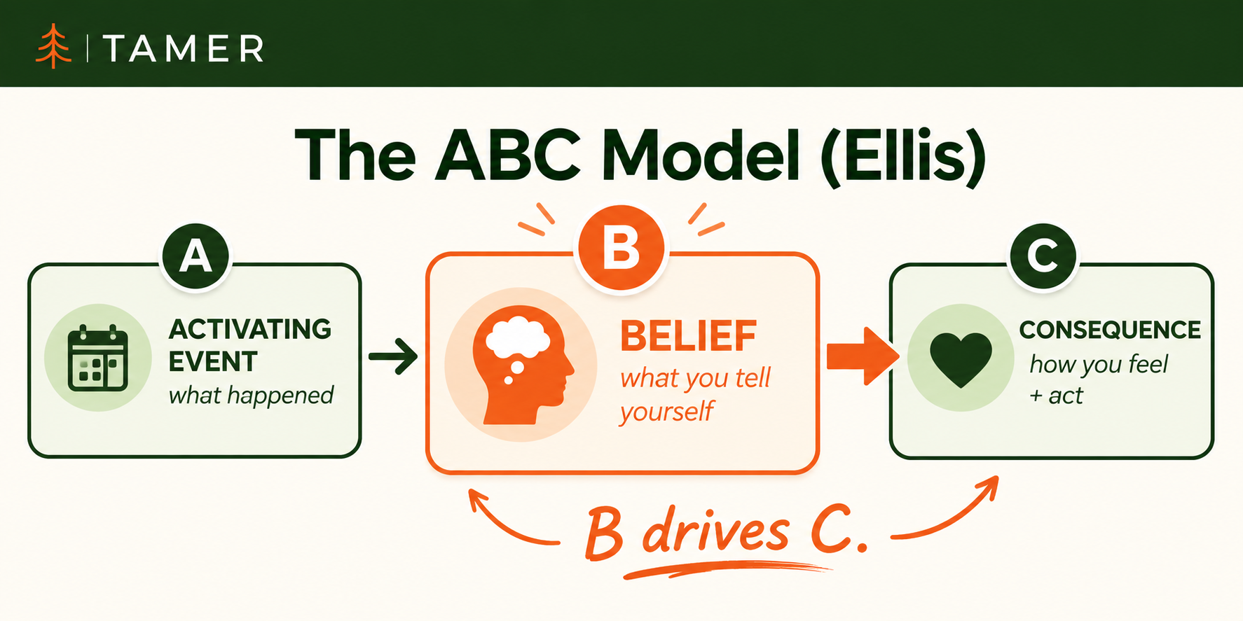 The ABC Model (Ellis): three boxes — A Activating Event (what happened), B Belief (what you tell yourself, drawn larger), C Consequence (how you feel and act). A bold arrow from B lands on C with the caption 'B drives C.'